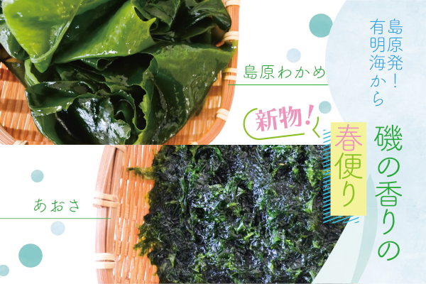 新物 島原わかめ あおさ
